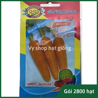 Hạt giống cà rốt cao sản Thái Lan gói 2800 hạt