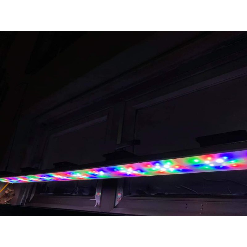 ĐÈN LED RGB *CHẾ* SIÊU SÁNG - THỦY SINH ( CÓ ĐỦ KÍCH THƯỚC_BẢO HÀNH 3 THÁNG)