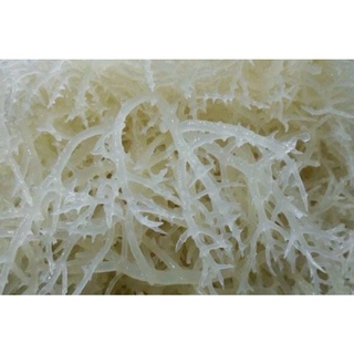 Rong chân vịt 500gr