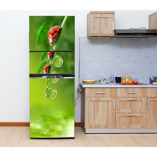 DECAL DÁN TRANG TRÍ TỦ LẠNH BỌ ĐỎ