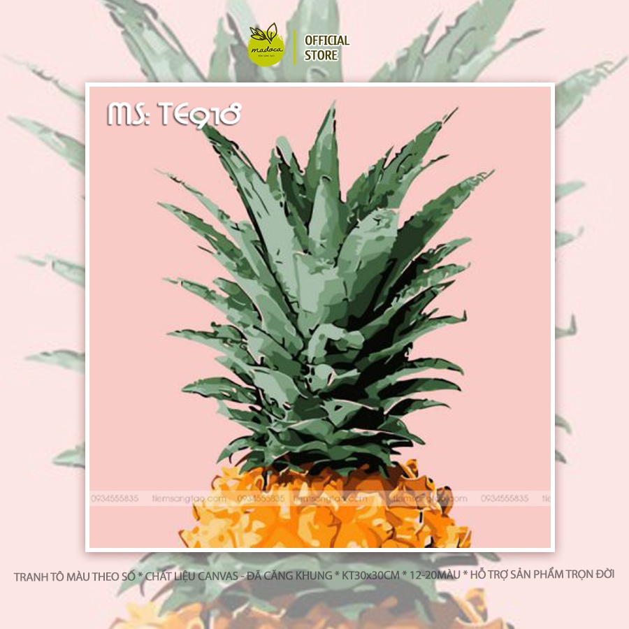 Tranh tô màu số hóa Madoca có khung 30x30cm dứa vàng TE918
