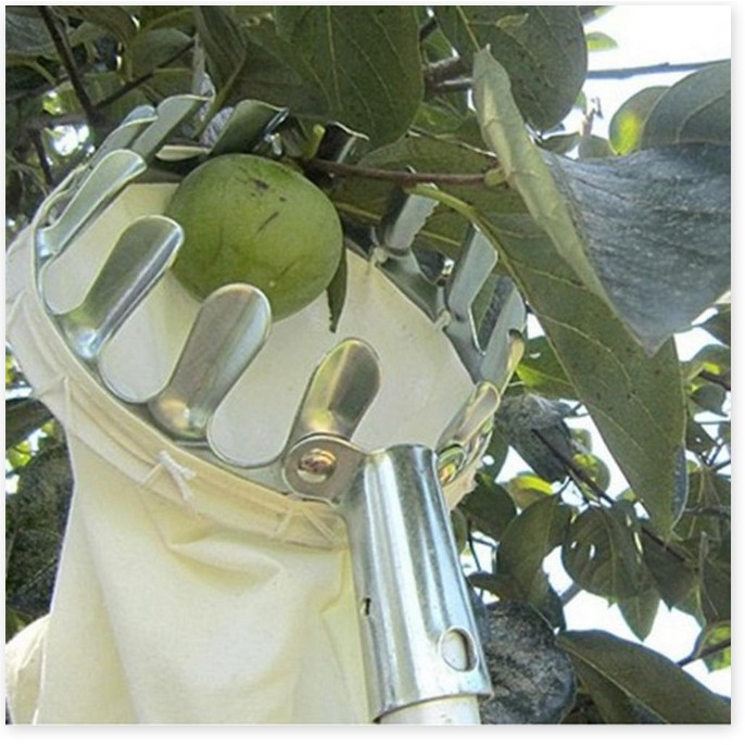 Dụng Cụ Hái Trái Cây Đa Năng