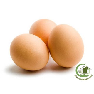 Trứng gà giả làm dấu ổ gà nòi ( 1 quả )