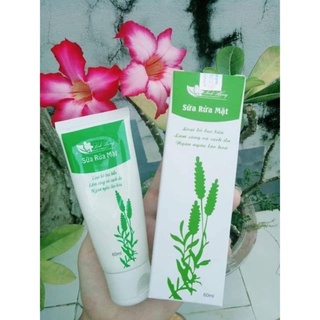 Bột trắng răng than dừa hoạt tính