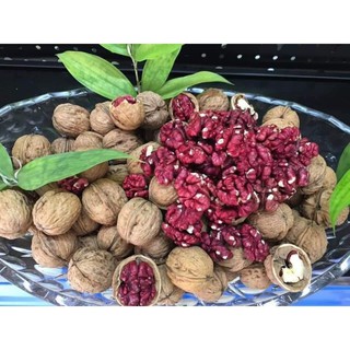 500g NHÂN ÓC CHÓ ĐỎ - HÀNG NHẬP KHẨU