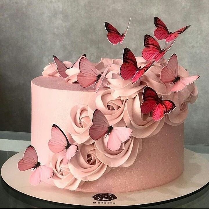 Petmini_shopBG