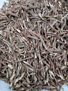 SÂM CAU KHÔ TÚI 500g (loại đẹp )