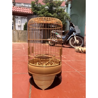 LỒNG CHIM KHUYÊN DŨI DỪA