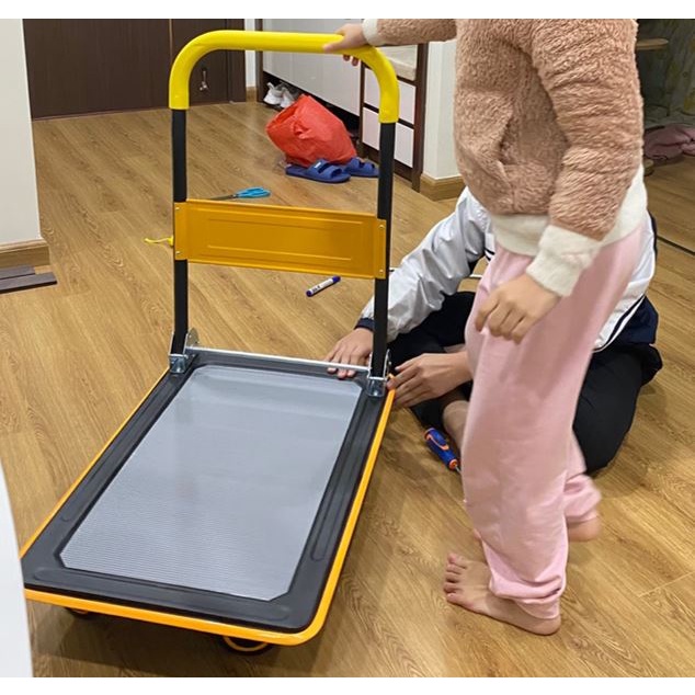 Xe kéo hàng sàn sắt trọng tải 150kg 300kg mới