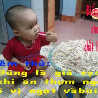 Thiết bị làm giá sạch đa năng (làm giá + muối dưa cà...)