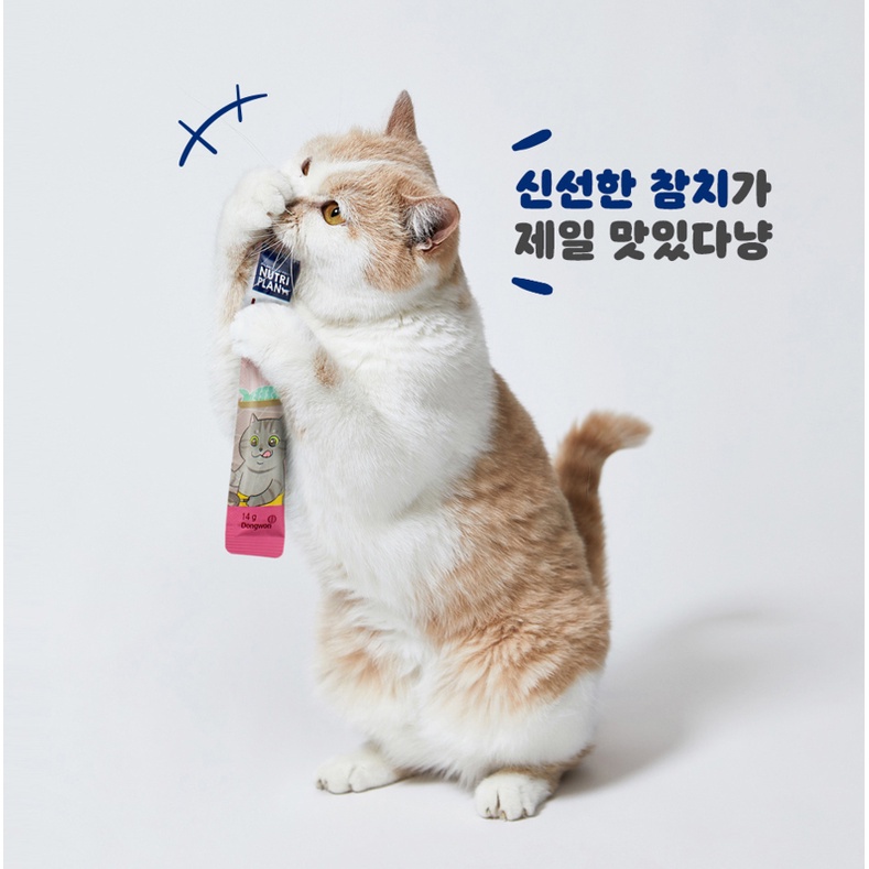 Súp thưởng Nutri Plan Stick cho Mèo con Mèo trưởng thành nhập khẩu Hàn Quốc từ Cá ngừ tươi ngon thượng hạng