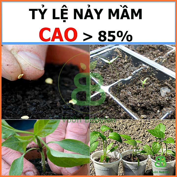 Hạt Giống Ớt Xiêm Cao Sản Siêu Trái 0,2Gr