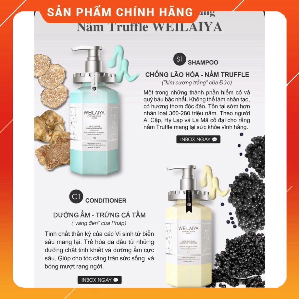 Set Dầu Gội Xả Phục Hồi Tóc Hư Tổn Đa Tầng Nấm Truffle Weilaiya giúp Chăm Sóc Tóc Khô Xơ Gãy Rụng Mini Test