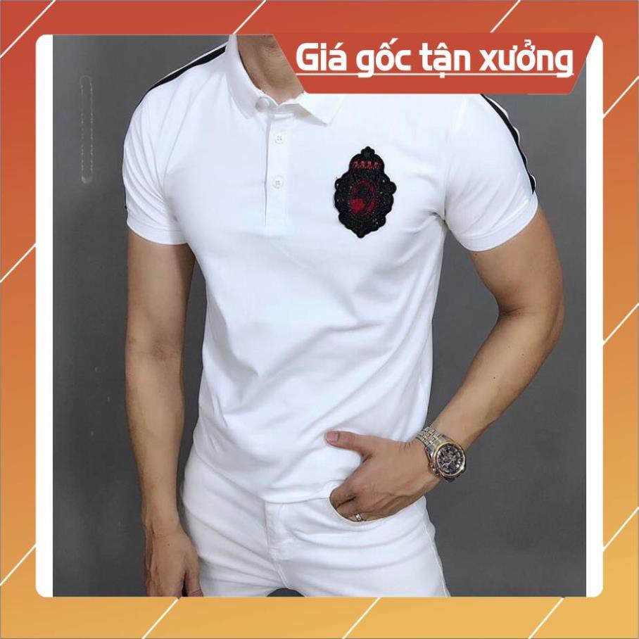 Áo thun nam tay dài cao cấp AT70