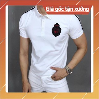 Áo thun nam tay dài cao cấp AT70