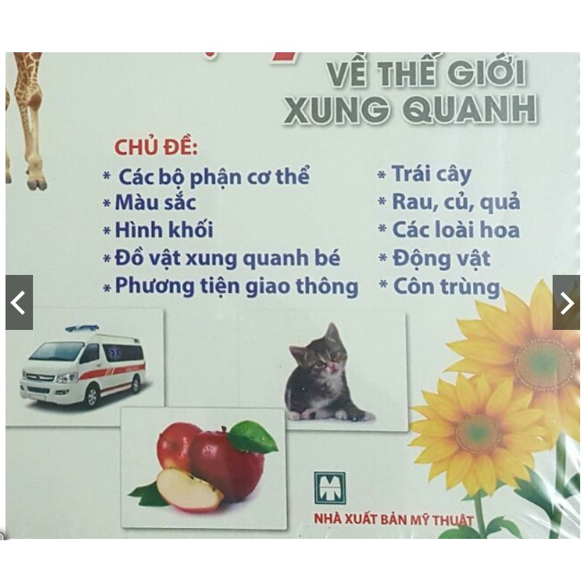 Sách - Flash card - Dạy trẻ về Thế giới xung quanh Glenn Doman