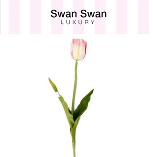 Cành Hoa Tulip Vải