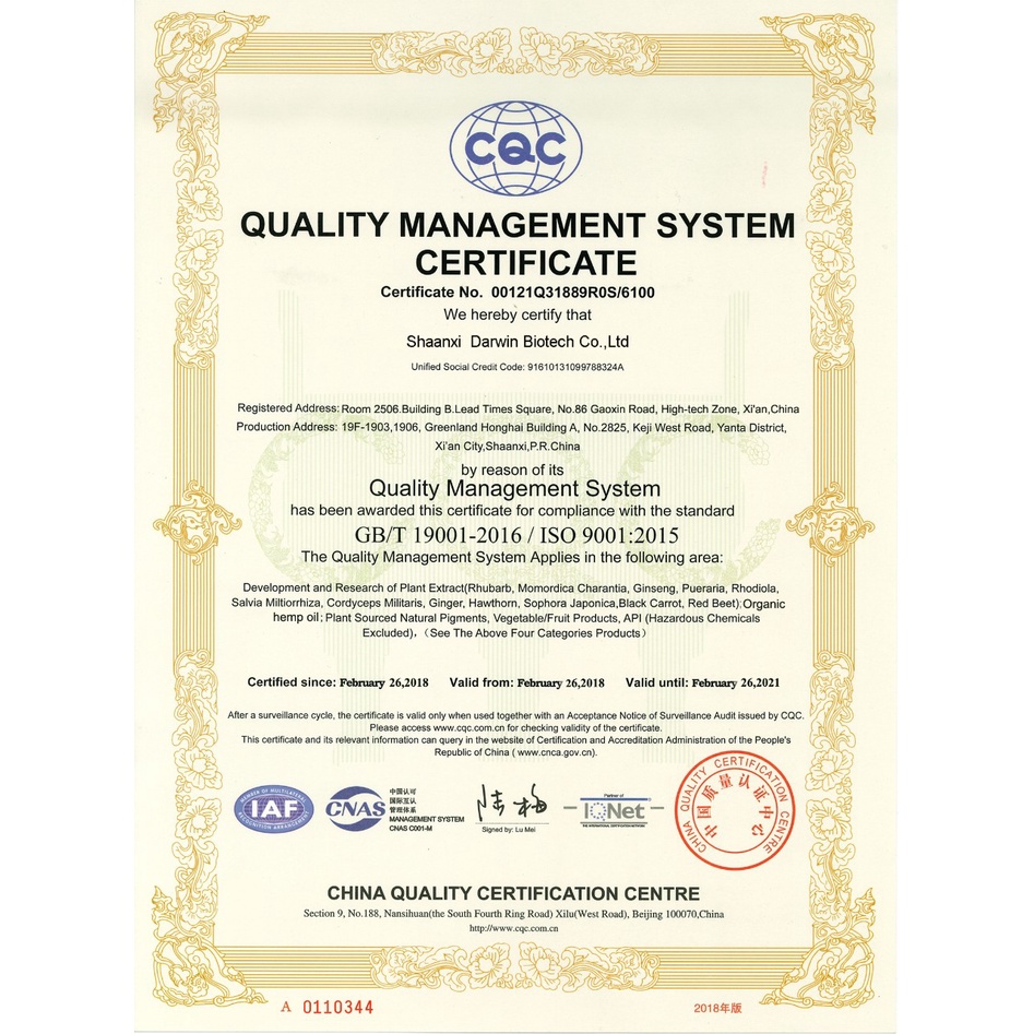 Táo đỏ Tân Cương size đại Organic sấy khô, Táo đỏ hữu cơ quả to cao cấp Racos