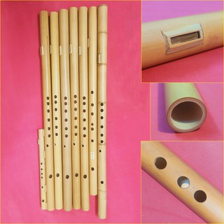 Sáo mèo việt