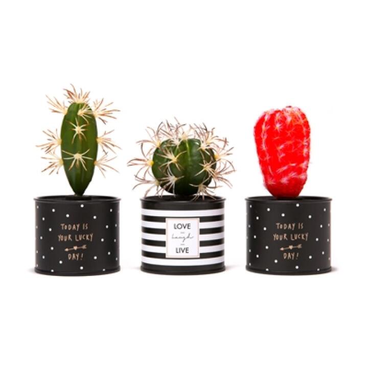 Ống Heo Tiết Kiệm ARTBOX Hàn Quốc Thiết Kế Hình Cây Xương Rồng Đỏ Độc Đáo