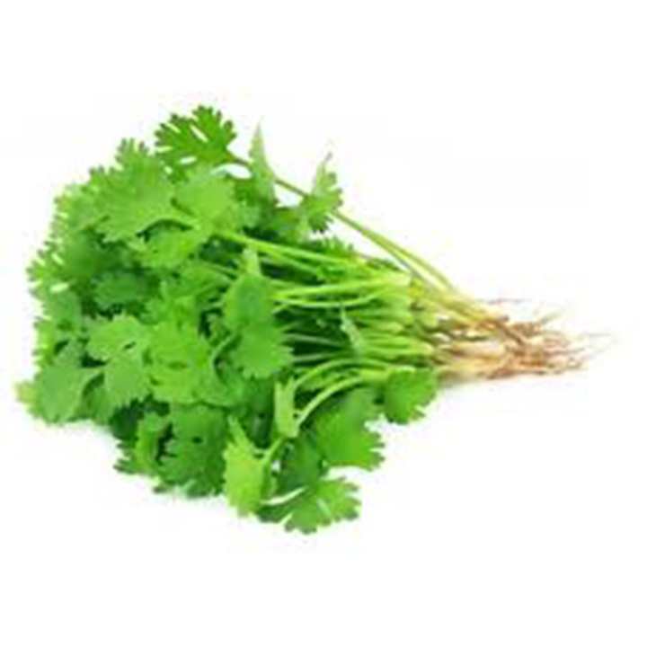 Hạt giống rau mùi ta 15 gram ( ngò rí)