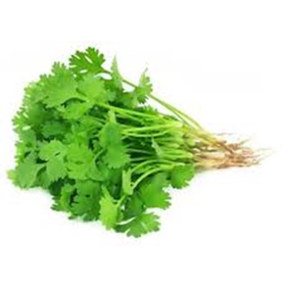 Hạt giống rau mùi ta 15 gram