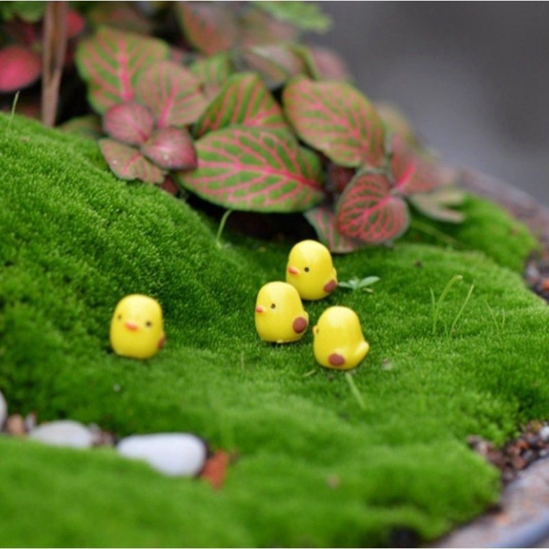 Mô hình gà con xinh xắn trang trí bể thủy sinh terrarium