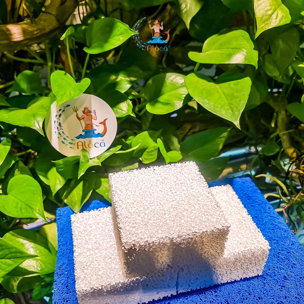 Sứ tàu hũ Ceramic chính hãng loại 1, viên vuông 10x10x5cm lọc nước, loại bỏ amoniac, nitrat bể cá cảnh