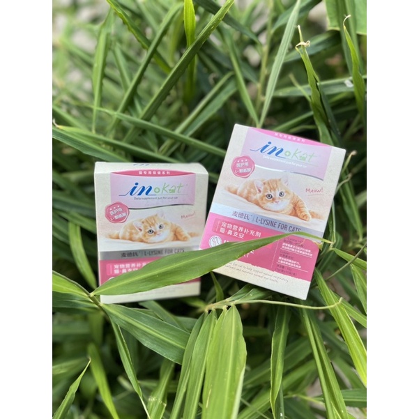 Inkat lysine giúp tăng cường miễn dịch và hỗ trợ hô hấp cho mèo INKAT IMMUNE SUPPORT  xuất xứ Mỹ