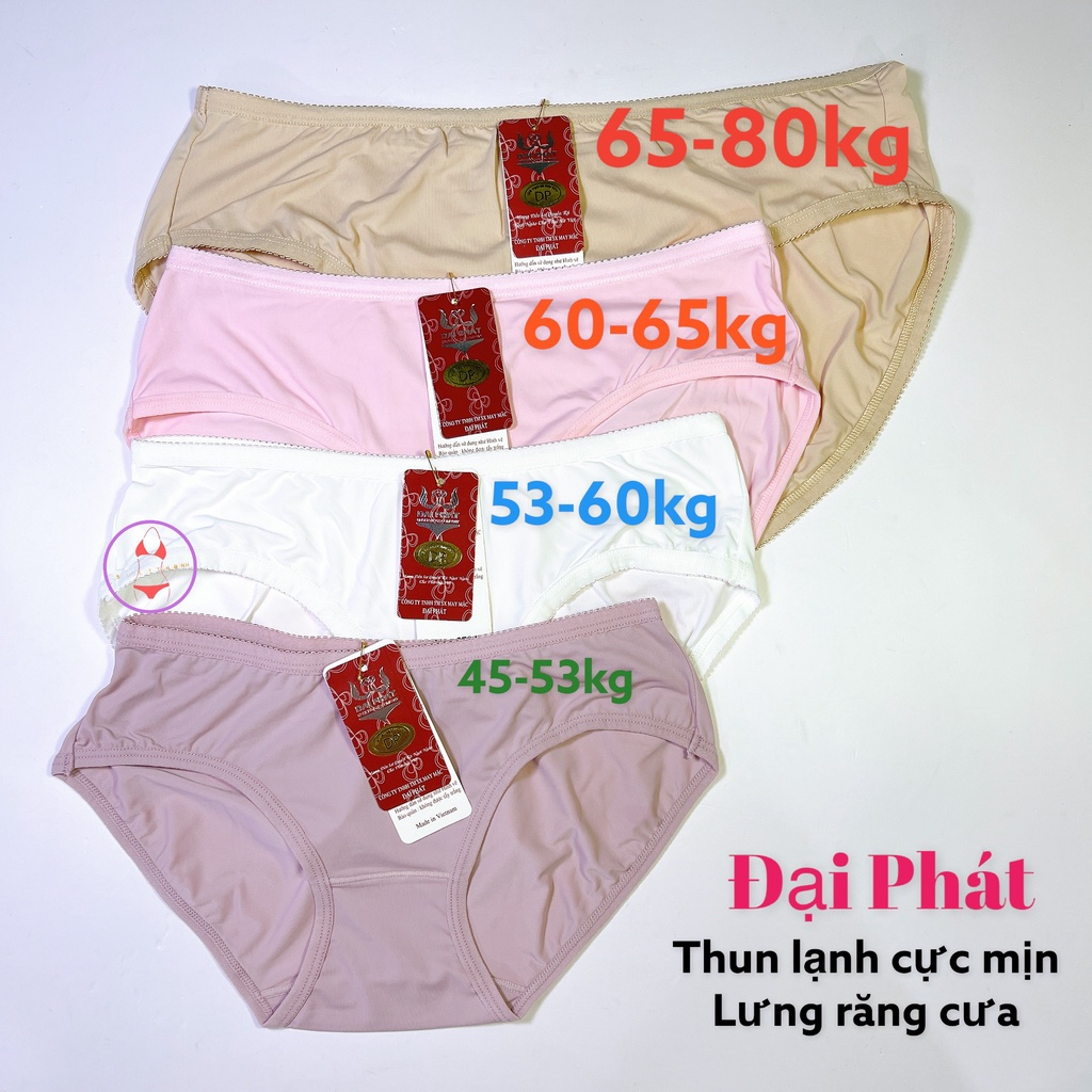 Quần lót thun lạnh cao cấp size lớn Đại Phát MS3283 hàng xịn Set 10 cái