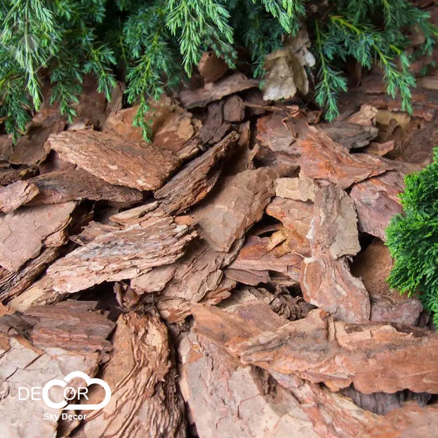 Vỏ thông khô Sky Decor phong cách vintage, cổ điển - Chụp ảnh phong cách mộc