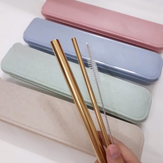 (Ảnh thật, HCM) Hộp 2 ống hút (trân châu + thẳng) + 1 cọ rửa