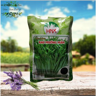 Combo 6 loại rau mầm