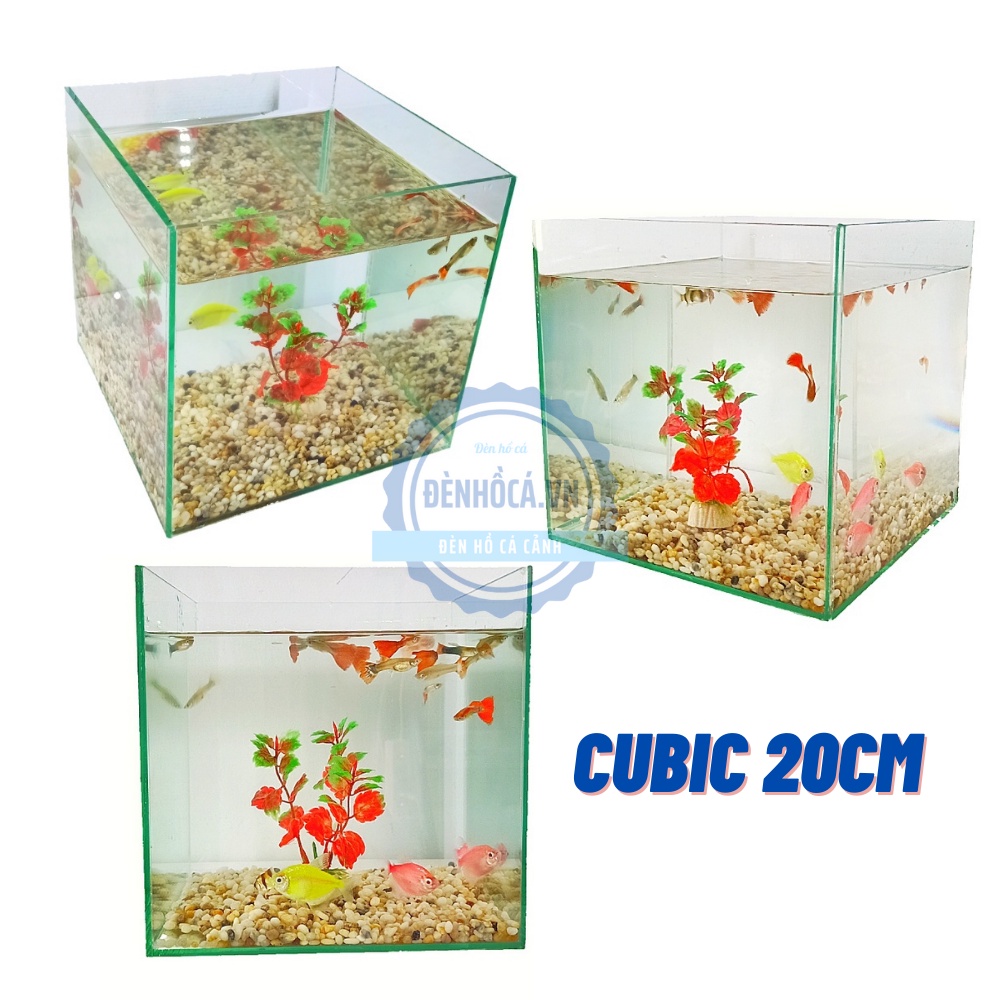 Bể cá mini cubic 15 - 20 - 25 cm dành cho nuôi cá cảnh hoặc thủy sinh