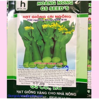 HẠT GIỐNG CẢI NGỒNG (CẢI NGỌT ĂN BÔNG) GSA818 gói 50gr