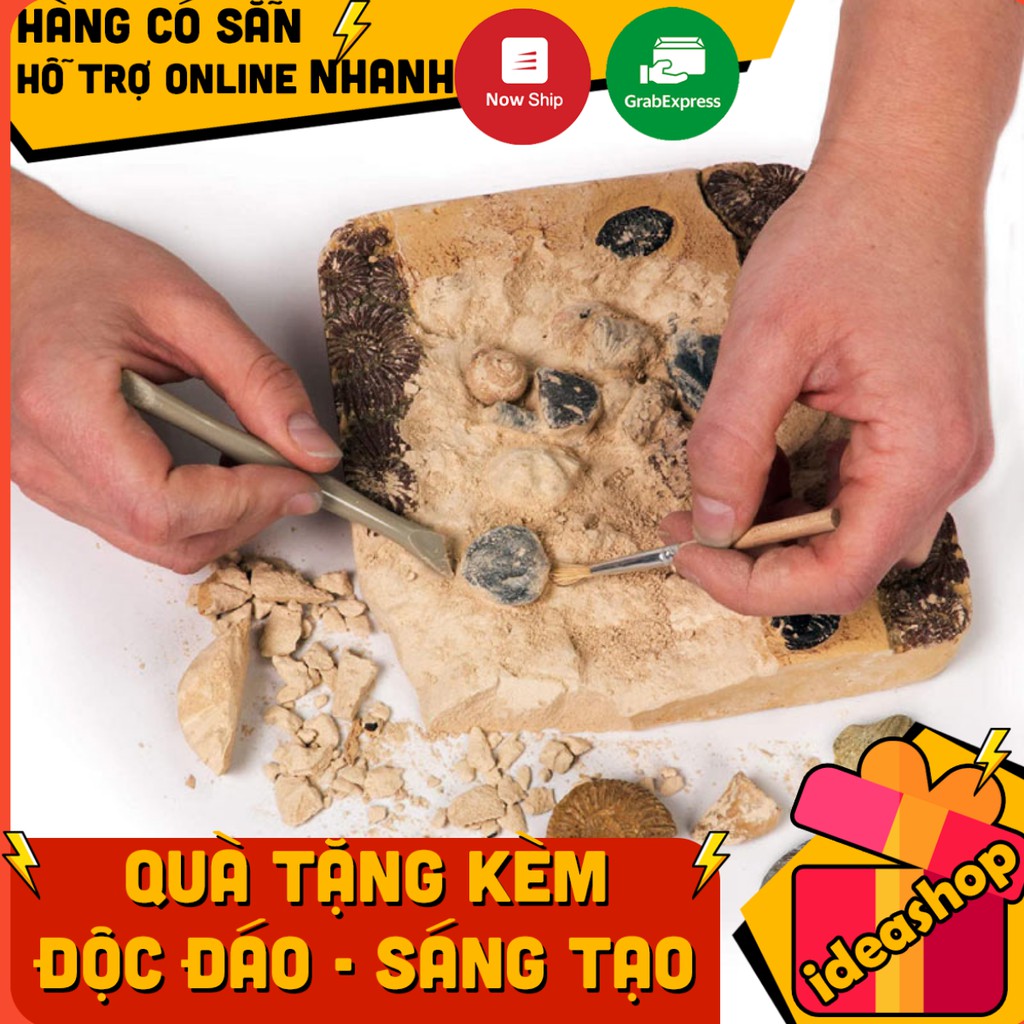 ĐỒ CHƠI KHẢO CỔ HỌC 15 HÓA THẠCH (NATIONAL GEOGRAPHIC MEGA FOSSIL DIG KIT) ĐỒ CHƠI THÍ NGHIỆM KHOA HỌC SÁNG TẠO CHO BÉ