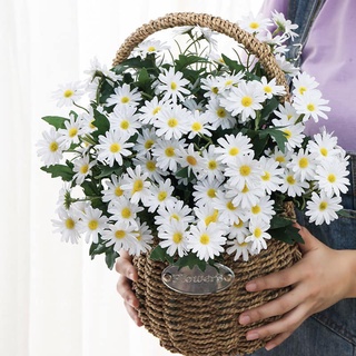 Hoa cúc hoạ mi vải