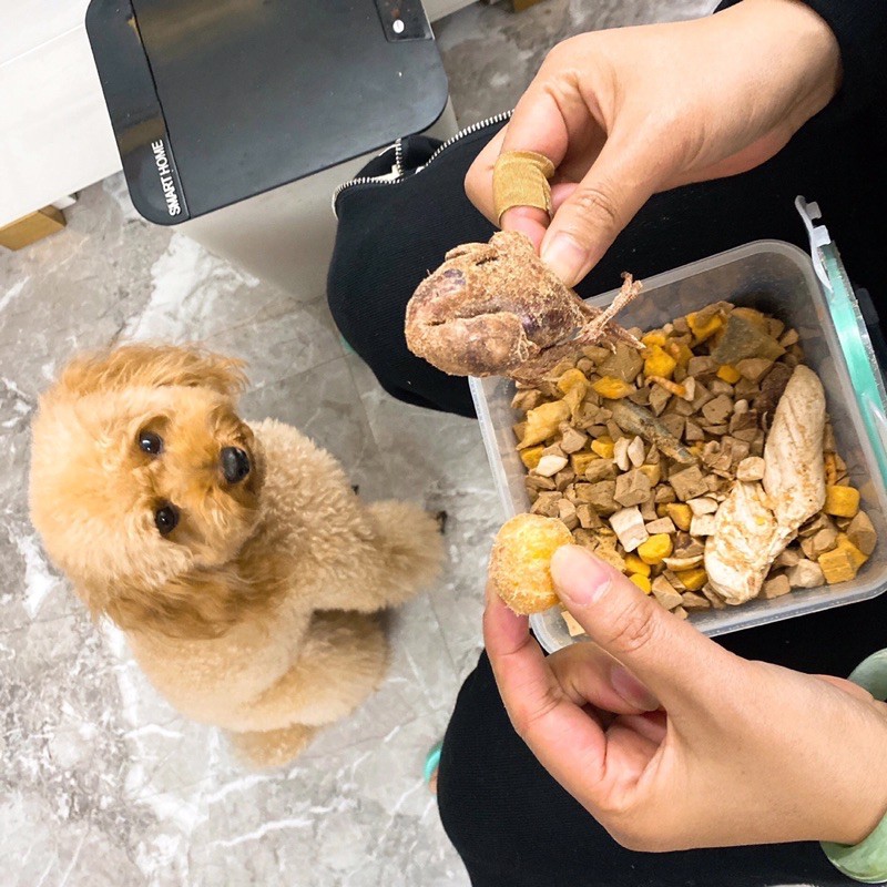 ĐỒ ĂN ĐÔNG KHÔ/sấy khô 700 g hỗn hợp các loại dinh dưỡng cho mèo / chó