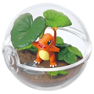 MÔ HÌNH POKEMON TERRARIUM COLLECTION 3
