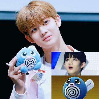 Thú nhồi bông Poliwag cực kute cho fan Bae Jin Young Wanna One