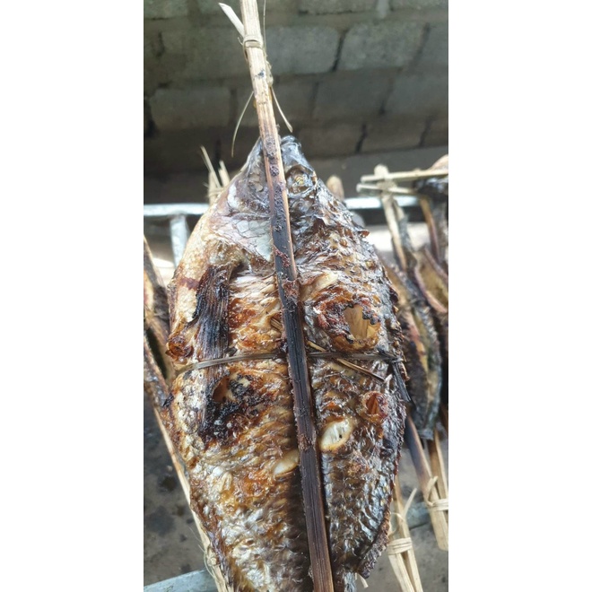 Cá Nướng Tây Bắc 5,5gr-6gr/con