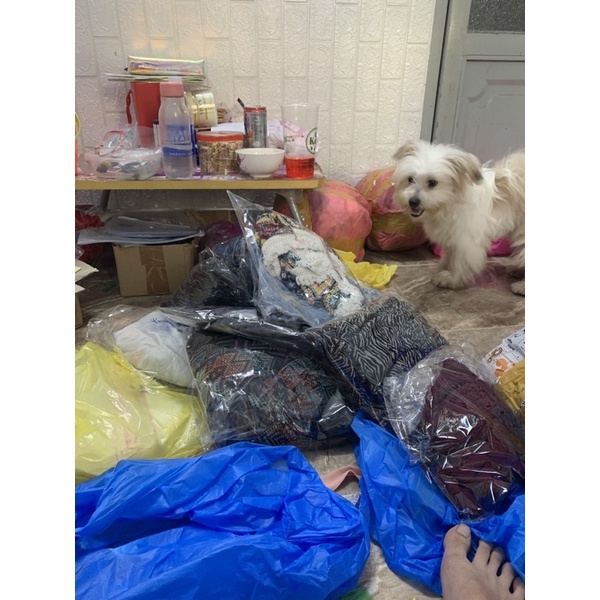 dơn của chii