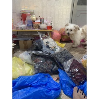 Dơn của chii