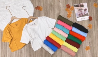Áo thun giấy croptop cổ tim màu + sọc