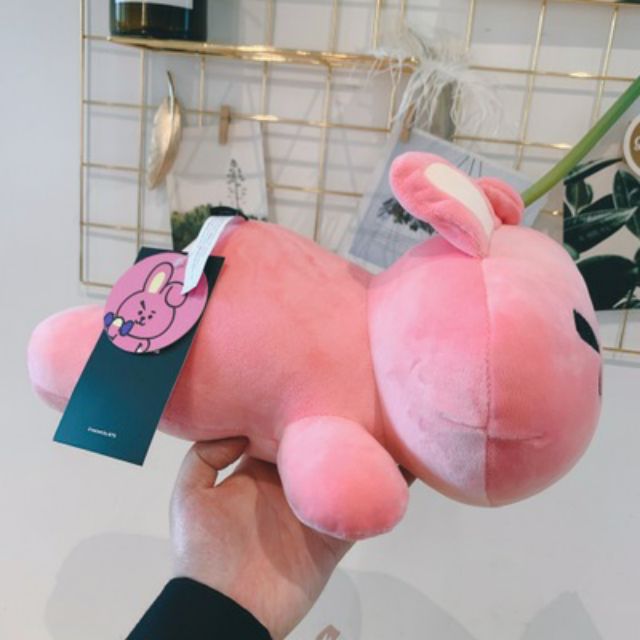 Gấu bt21 cute