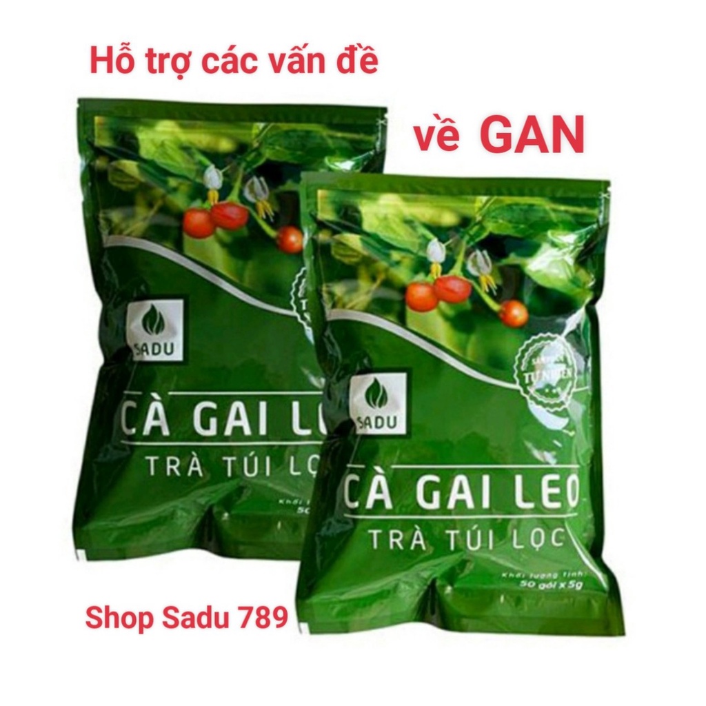 2 bịch trà cà gai leo túi lọc Sadu hỗ trợ gan nhiếm mỡ, viêm gan