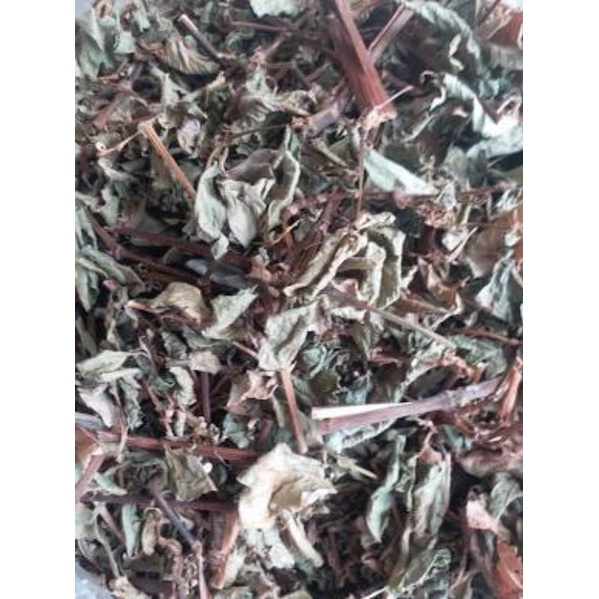 1KG Cây Thồm Lồm