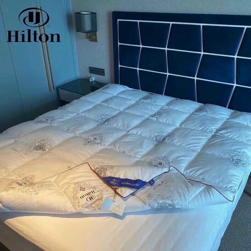 Ruột chăn lông vũ HILTON