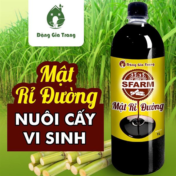 Mật Rỉ Đường SFARM Cao Cấp Hỗ Trợ Cải Tạo Đất, Chất Xúc Tác Ủ Phân 1 Lít