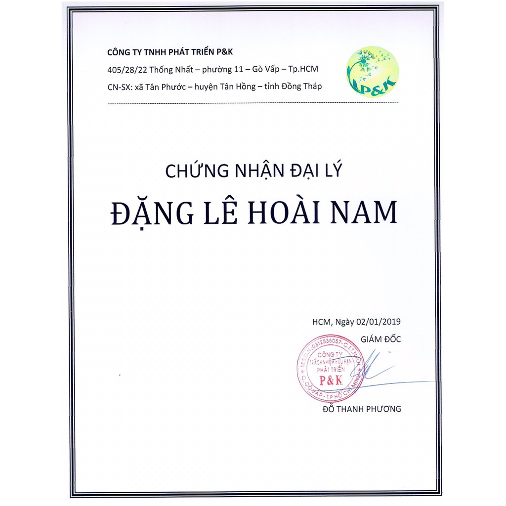 Trà Bồ Công Anh 50 túi lọc P&K - Ngừa ung thư, mát gan, giải độc, giảm viêm họng, ổn định huyết áp, đường máu, thanh lọc